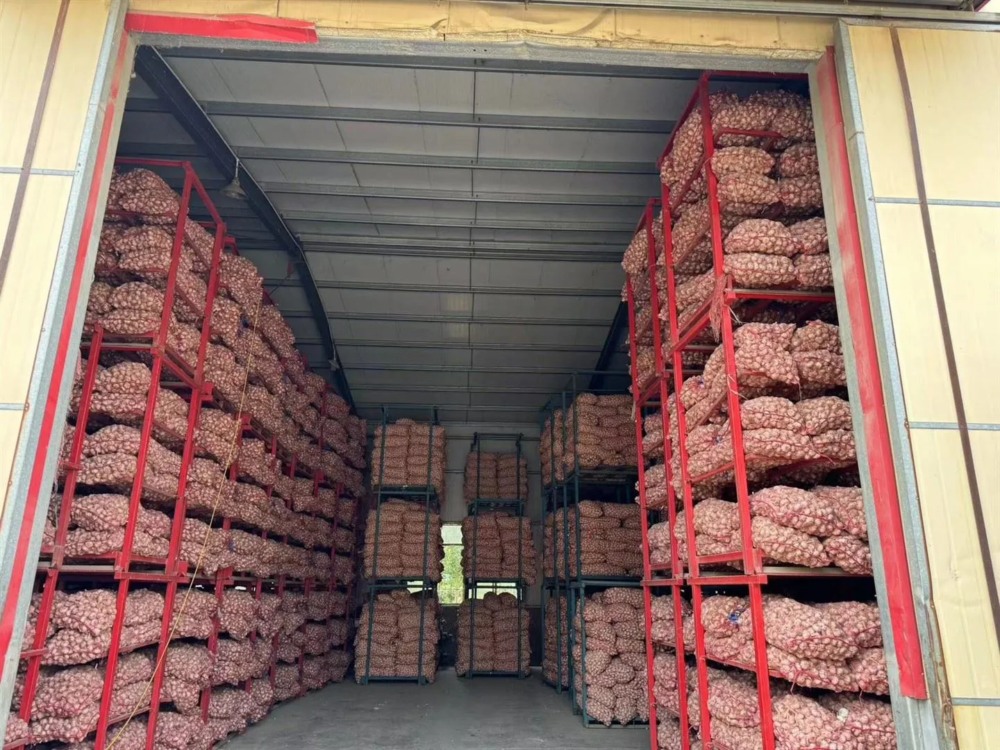 Przechowywany czosnek